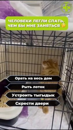 Тяжелый выбор