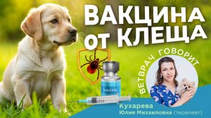 Прививка от клещей?!
