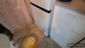 Жизнь Аборигенки. Один день из моей жизни. Жизнь в глубинке России.