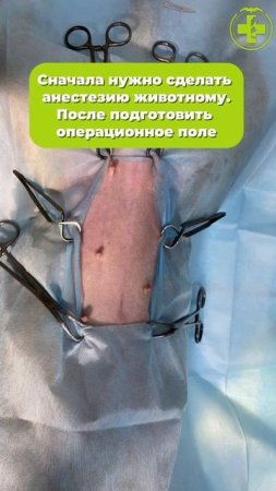 Приглашаем в закулисье