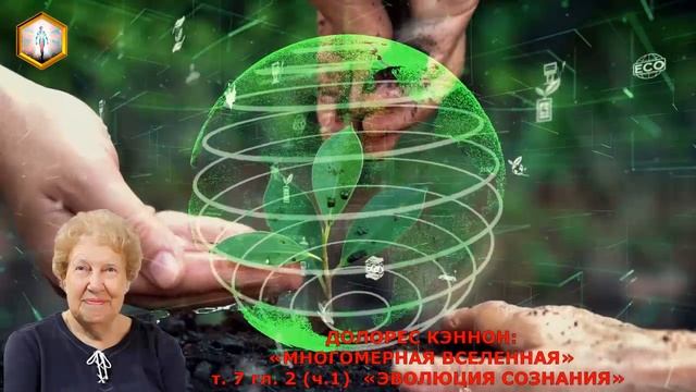 Долорес Кэннон " МНОГОМЕРНАЯ ВСЕЛЕННАЯ" т.7, гл.2, (ч.1) "ЭВОЛЮЦИЯ СОЗНАНИЯ"