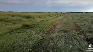 Косилка прицепная КТУ-6,0. Производство Костанай