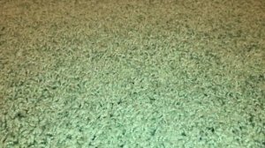 Моя коллекция танков мировой войны