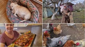 СУББОТА. ОСОБО НИЧЕМ НЕ ЗАНИМАЛИСЬ,ТАК, МЕЛКИЕ ДЕЛА.