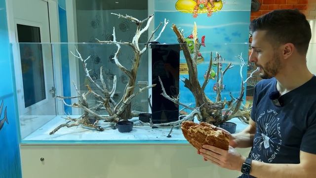 Building a Special 6ft Aquascape In a Dental Clinic! With @JurijsJutjajevs смотреть онлайн
