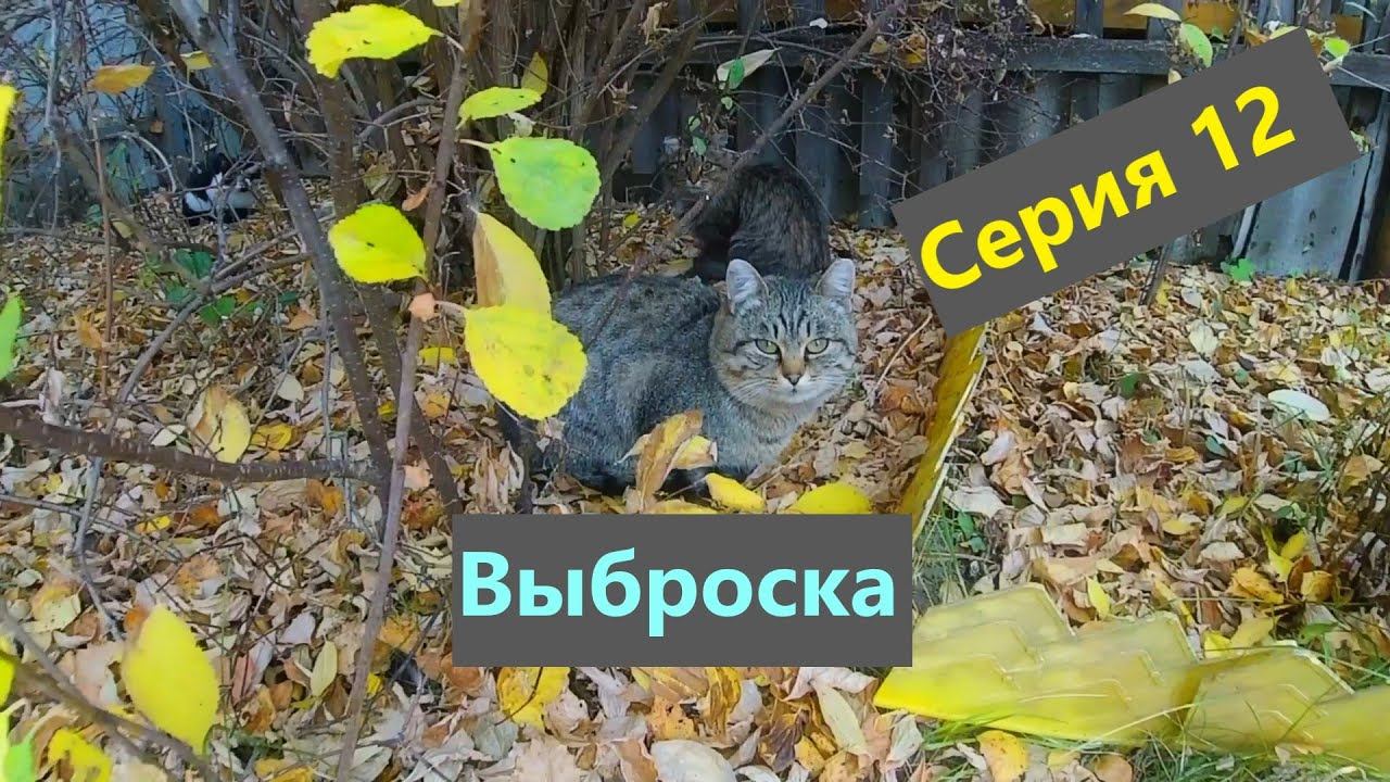 Велопоход разведка изб (серия 12)Выброска домой.