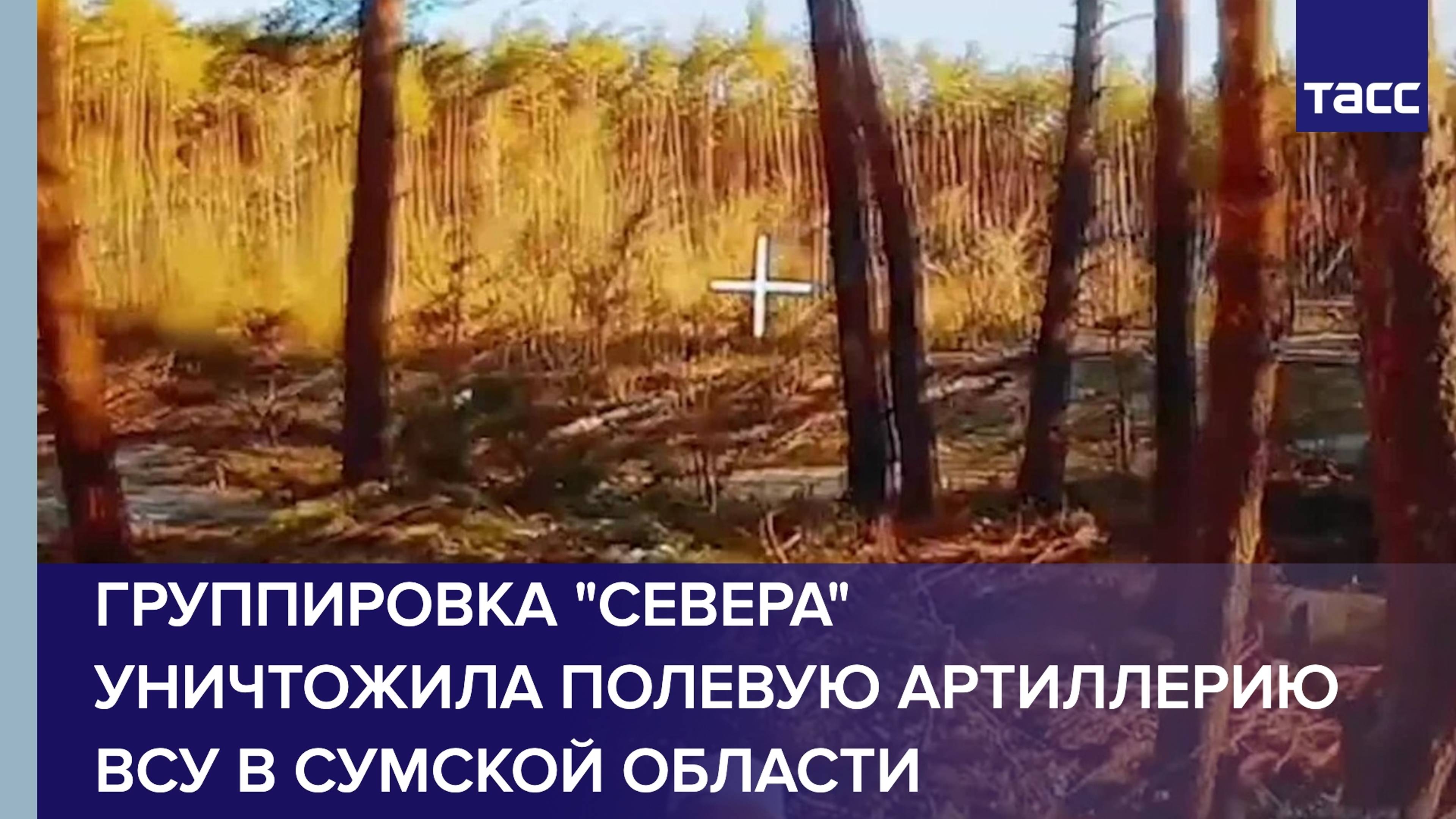 Группировка "Севера" уничтожила полевую артиллерию ВСУ в Сумской области