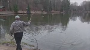 Утро на нижнем. Клёвое место, Лосиный остров.