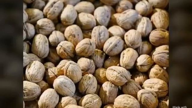 Cаженцы грецкого ореха смотреть онлайн