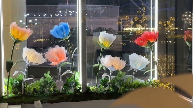 ПАНДА КОТОРАЯ ВАС УДИВИТ ПРОГУЛКИ ПО КЛАССНЫМ МЕСТАМ #китай #путешествия #интересное #подписка