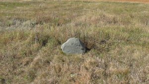 Исчезнувшая деревня Приют, Екатериновский район.