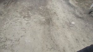 MVI_3325