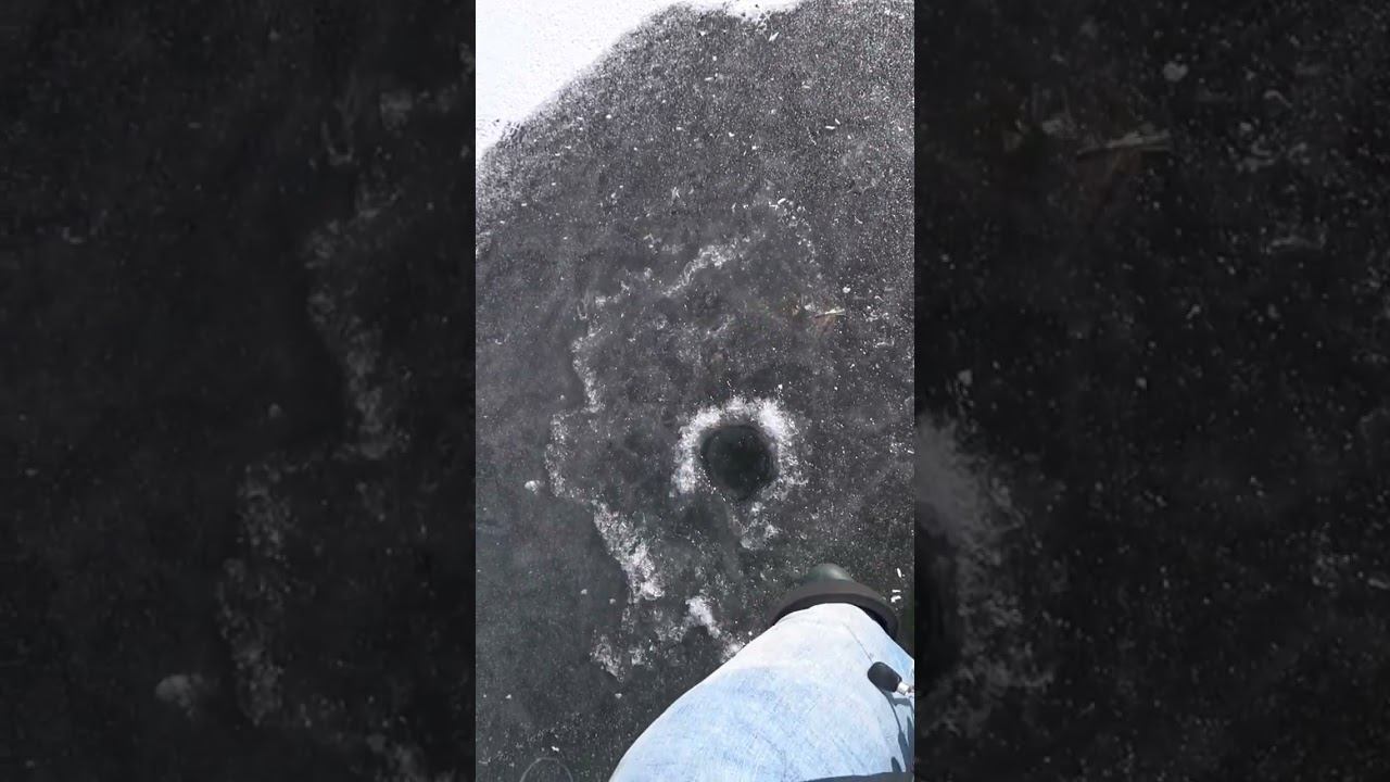 Как вам тройник? #рыбалка #зимняярыбалка #shorts смотреть онлайн