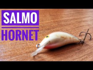 Воблер Salmo Hornet. Уловистая приманка на хищную рыбу