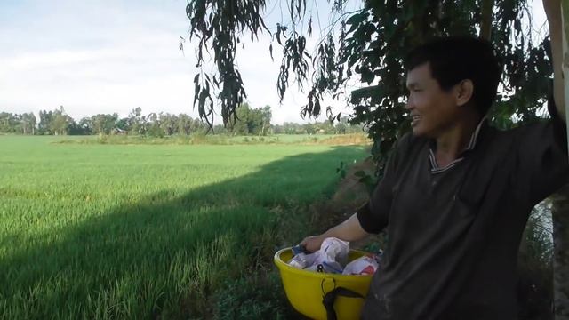 Gặp nông dân nhiều năm không xịt diệt mầm mà lúa không có 1 cọng cỏ hai từng