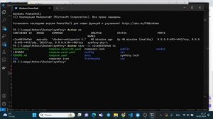 Запуск консоли Symfony в контейнере Docker
