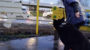 Выборка искомого запаха