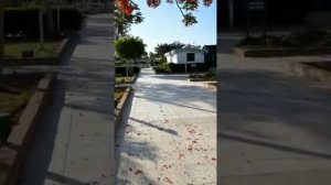 ЕГИПЕТ ШАРМ-ЭЛЬ-ШЕЙХ РАЙОН NAAMA BAY ОТЕЛЬ GHAZALA BEACH ПРИЕЗД ( ПУТЕШЕСТВИЯ НАШИХ ЗРИТЕЛЕЙ #15)