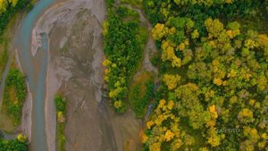 Альтернативная Жизнь (2) ( DASSR )