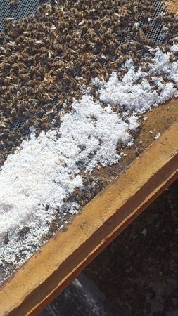 Не брать! брак канди в магазине Ярославля #пчеловодство #пчеловодческиймагазин #пчеловодствоярослав