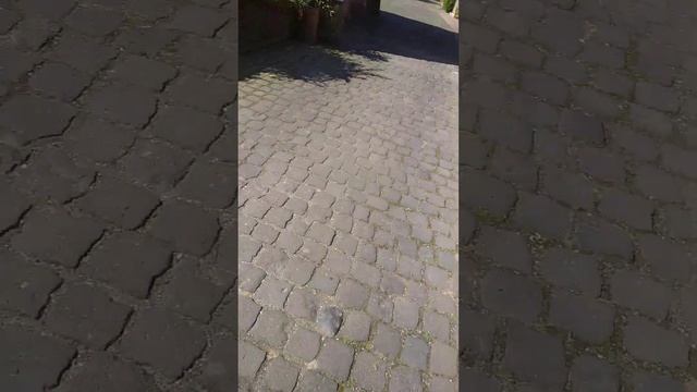 в бурге Эфферен / Кельн-Хюрт смотреть онлайн