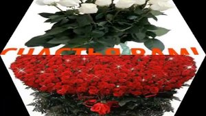 Зажигательная. Аварская песня Шайзе Шайзе мун дие