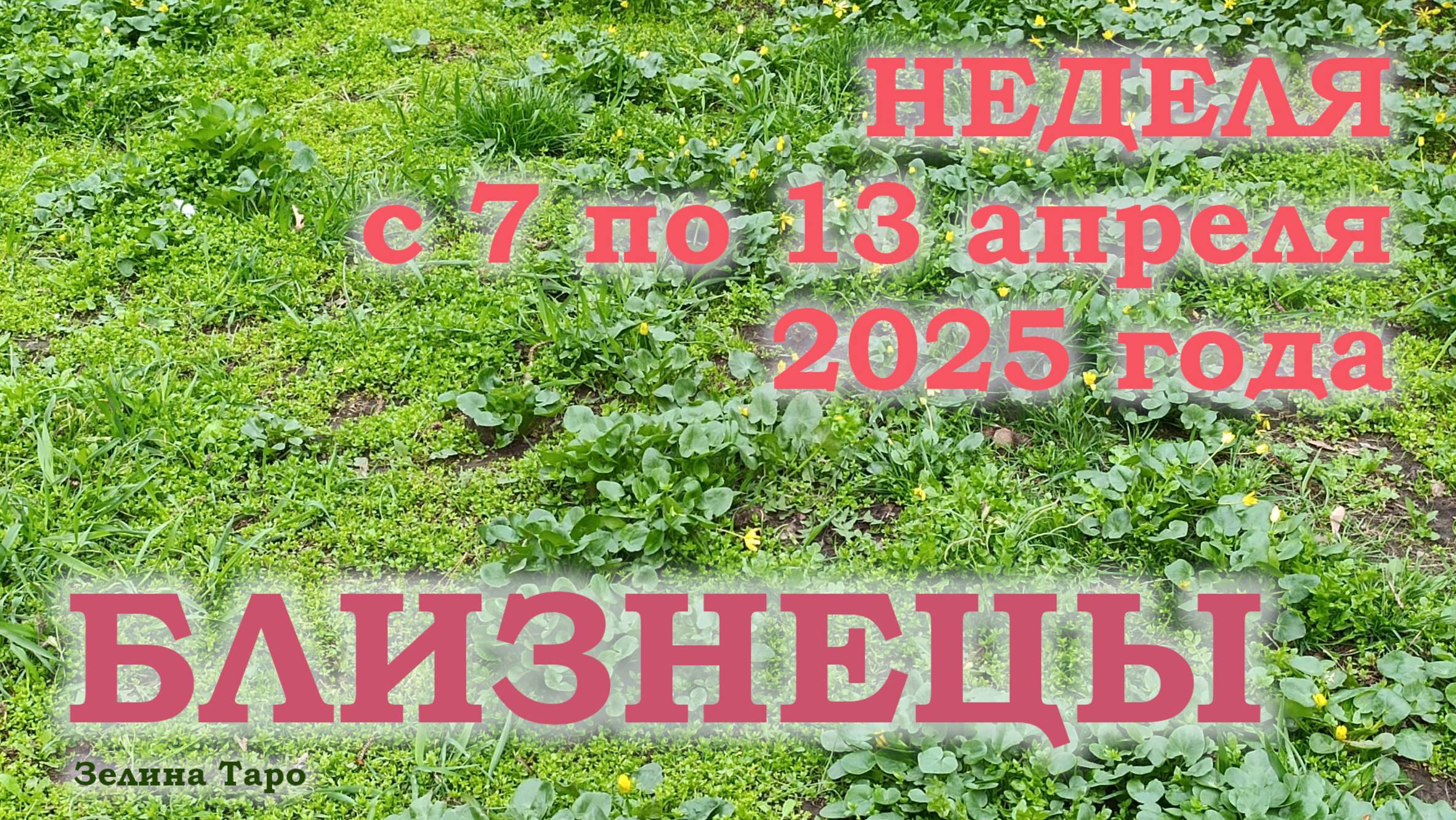 БЛИЗНЕЦЫ | ТАРО прогноз на неделю с 7 по 13 апреля 2025 года