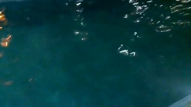 Отель Звенив смотреть онлайн