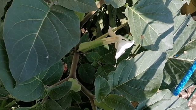 Отпуск Закончился, Марина Улетела #деревенскийтренд смотреть онлайн