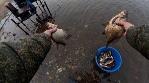 УЖЕ ЛУЧШЕ! ВТОРАЯ РЫБАЛКА НА ФИДЕР!