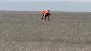 Uncompromising Gavel