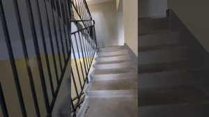 Цветы Башкирии