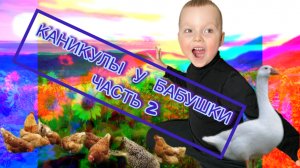 Каникулы у бабушки. Видео для детей