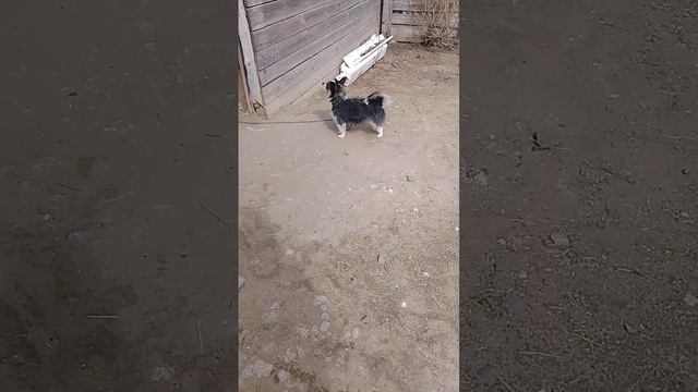 1000002260.mp4