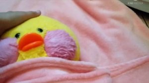 Уход за уточкой Лалафанфан