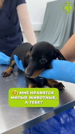 Заслужил лайк