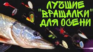 Лучшие вращающиеся блёсны для ловли щуки осенью