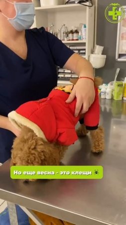 Репост обязателен