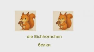 Лото животные. Простые вопросы на немецком