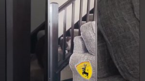 Коты и Собаки 🐶 такие смешные