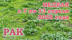 РАК | ТАРО прогноз на неделю с 7 по 13 апреля 2025 года