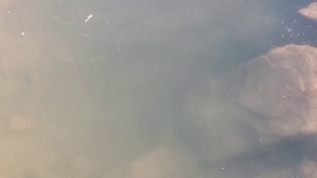 Monastic-SPA Карпати · Oriv (20-24.10.2019) смотреть онлайн