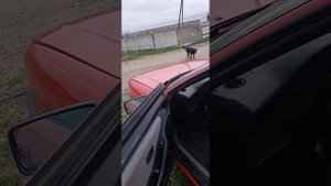 ацди 80