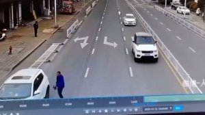 Видео дня: в Китае камера засняла, как собака за рулём авто устроила ДТП