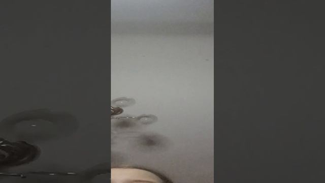 ночевка