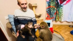 Я ПЫТАЮСЬ НАКОРМИТЬ Люсю, Степу и Маню, но они ВЫНОСЯТ мне МОЗГ и тут ЗАЗОДИТ ВЛАД!