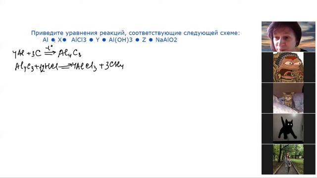 Амфотерные металлы семинар 2 цепочка