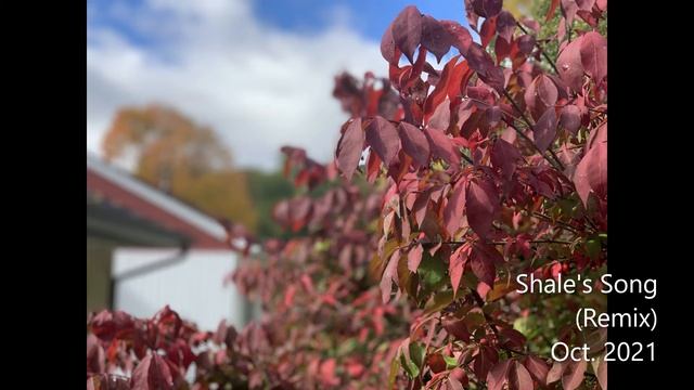 Shale's Song - Remix смотреть онлайн