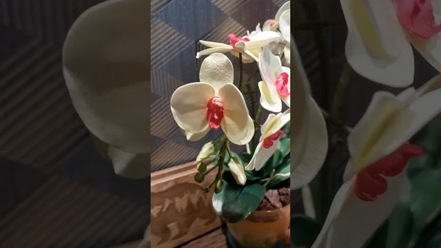 Цветы из фоамирана. Орхидея - светильник. смотреть онлайн