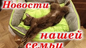 Новости нашей семьи.